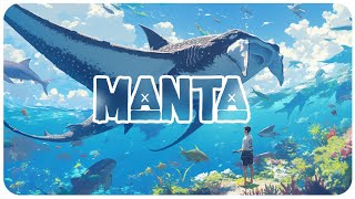 The Secrets of Manta Rays’ Leaps and Acrobatics 🐠 | Secrets Of The Sea
