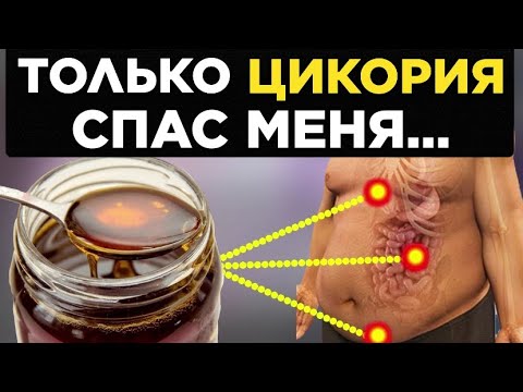 Вот что Творит ЦИКОРИЙ с организмом, если пить КАЖДЫЙ ДЕНЬ!