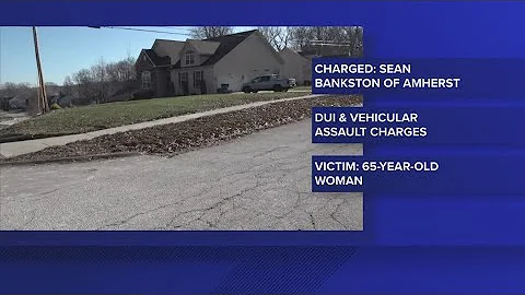 Amherst man charged with OVI, vehicular assault after crash that injured pedestrian, killed dog
