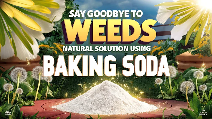 Say Goodbye to Weeds Forever with This Baking Soda Trick!