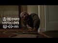 Caregiver  short horror film