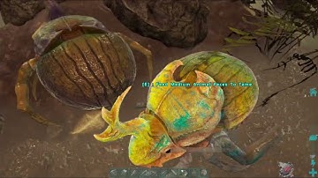 ARK: Survival Evolved - Taming a Dung Beetle Army: Endless Fertilizer for Our Tribe!