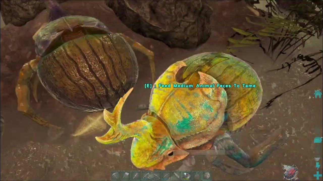 ARK Survival Evolved Taming a Dung Beetle Army Endless Fertilizer for Our Tribe! YouTube