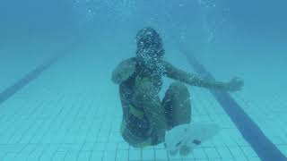 DMC FINS ELITE MAX JAVA VIDEO