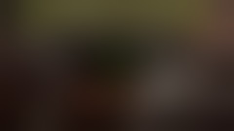 Luv 2 Gam3: Bad @ Gaming! Alien Rampage (1996) - Softdisk Publishing - DosBox