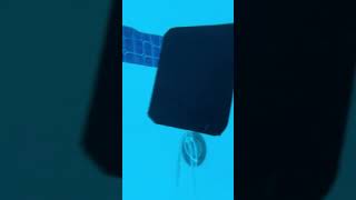 IMG 3855 MOV IMG 3855 MOV