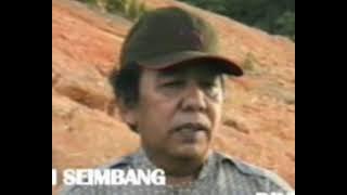 KUMBANG MELOKH - ARIFIN M - DANGDUT LAMPUNG (karaoke)