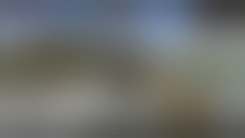 The morph plus v2 addon for minecraft pe