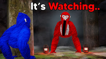 Exposing EVERY Gorilla Tag Myth To Prove Them Real...