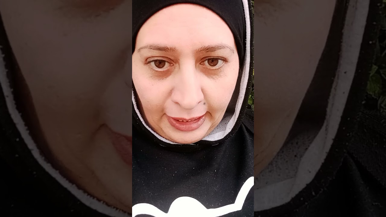 تاشيره المصري الى العراق