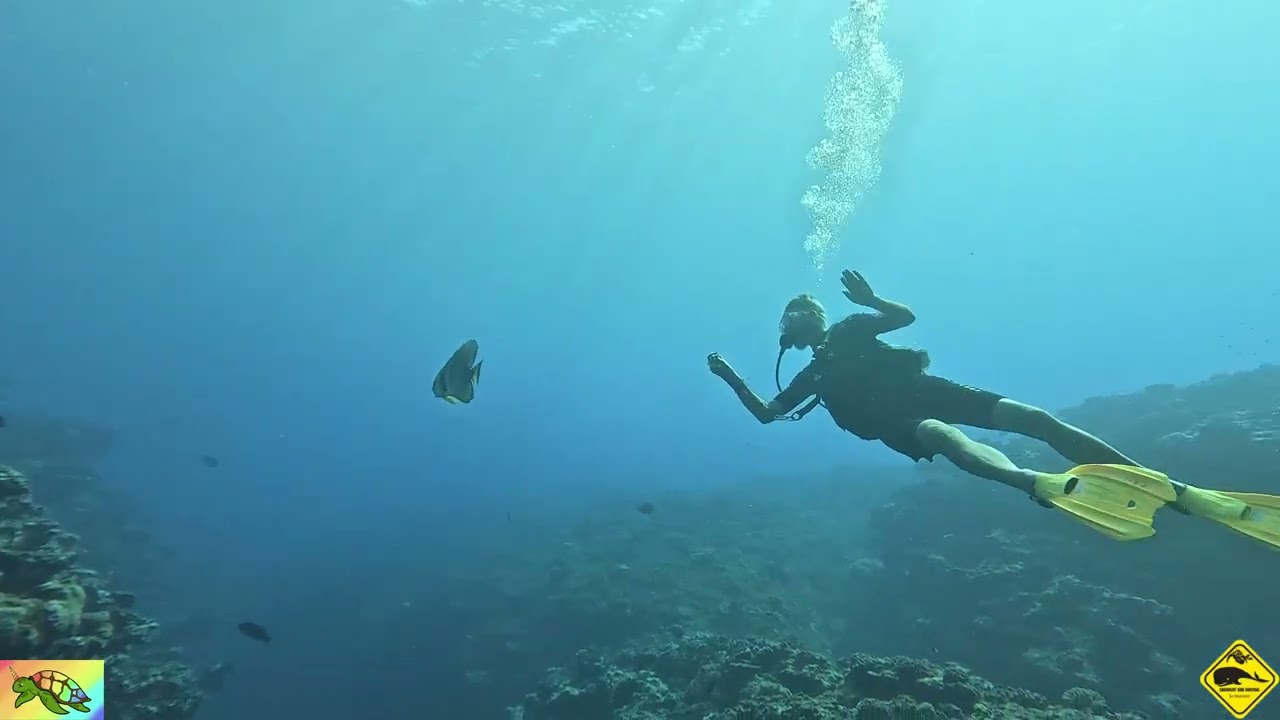 La passe de l'ermitage