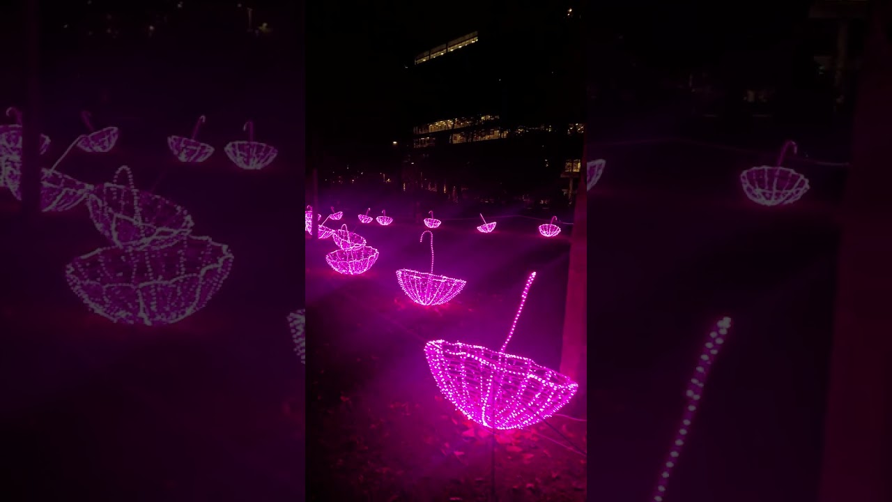 Reading Illuminate lighting