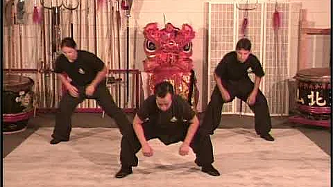 HUNG GAR KUNG FU   1
