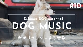 Relaxing Music for Dogs #10【Relieves Separation Anxiety, Sleep Disorders and Boredom】
