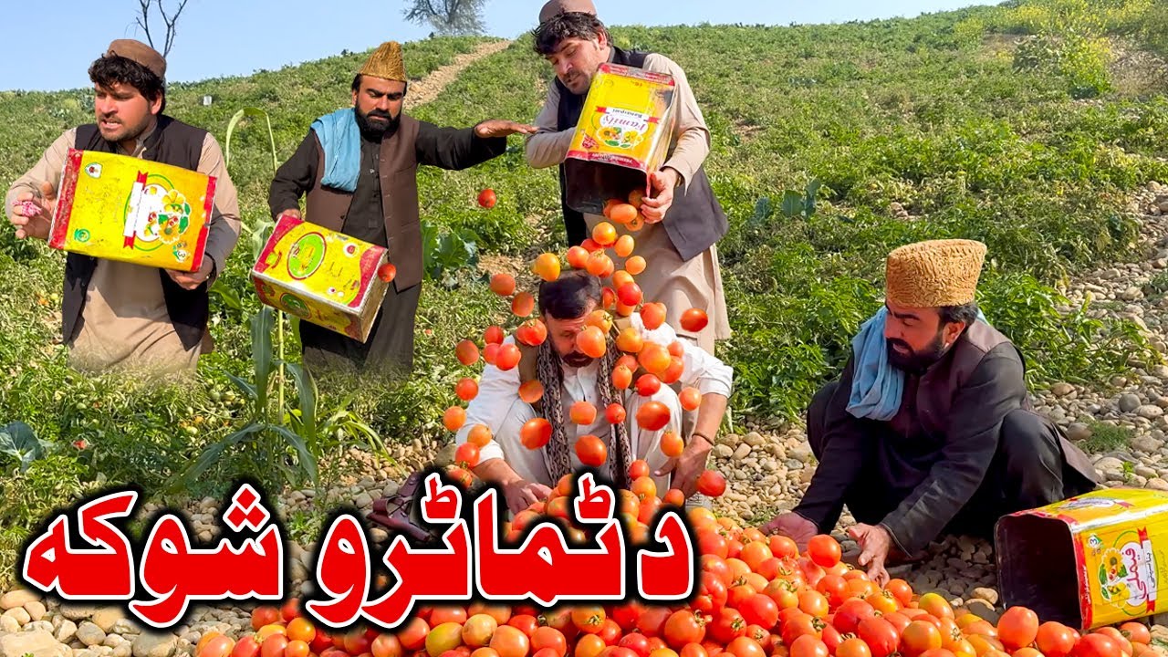 Da Tamatro Shoka New Funny Video By Takar Vines 2026