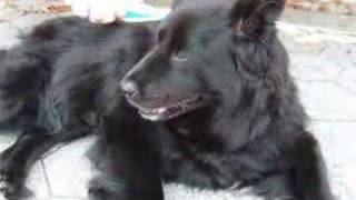 Lady070707