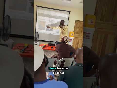 Types Of Dampness And How It Affects Your Walls