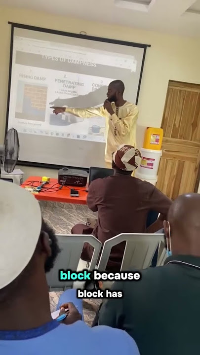 Types of dampness and how it affects your walls