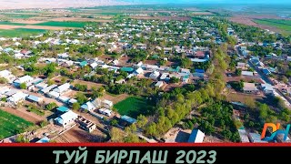 Туй Бирлаш 2023 Согинганлар Учун