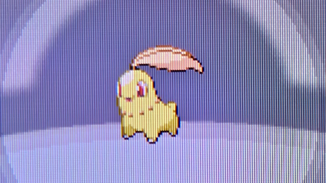 Shiny Chikorita in Pokémon HeartGold YouTube