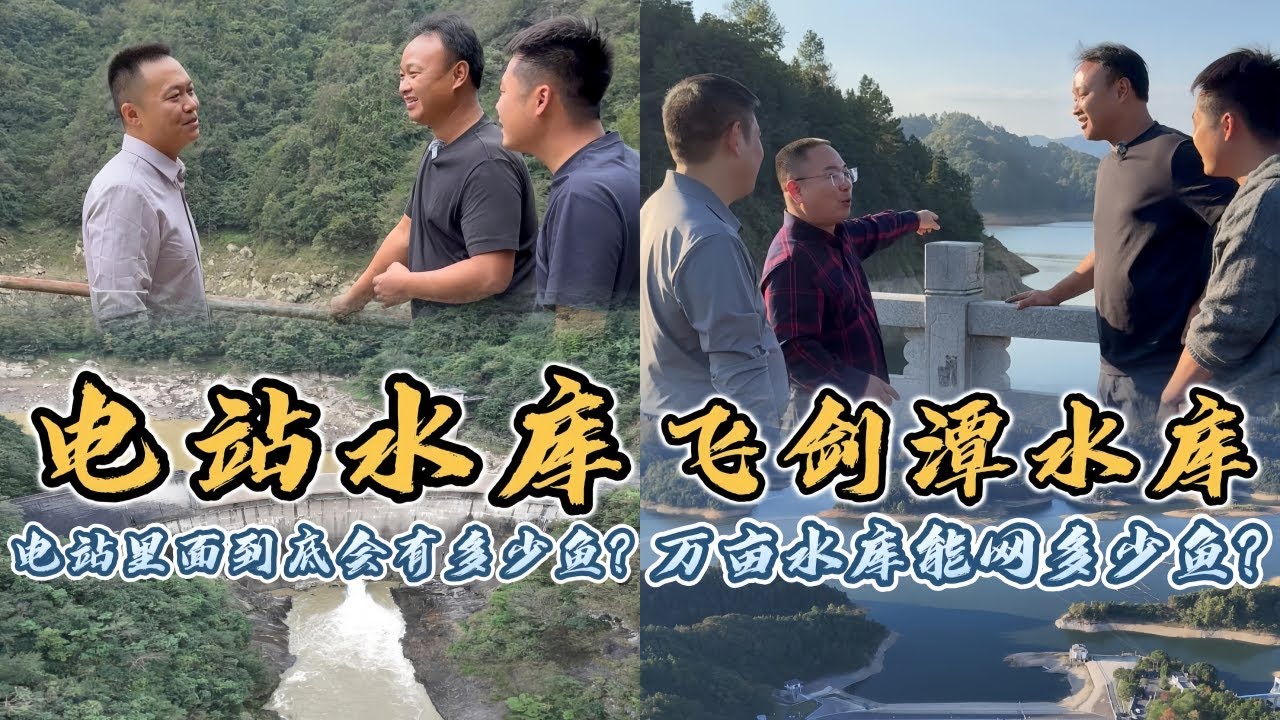 大表哥花3万包下个大型发电站，据说里面有上百斤的大鱼，到底是赚还是亏？｜花1万在万亩飞剑潭水库拉一网，一网到底能上多少鱼？