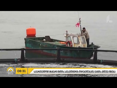 საქართველოში მტკნარი წყლის აკვაკულტურის ღირებულებათა ჯაჭვის კვლევა იწყება