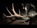 Navajo Elk Hunting, Sneak Peak Bone Collector Season 10