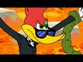 Woody es un super espía | El Pájaro Loco | Dibujos Animados en Español