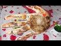 برج الجوزاء عاجل وهام بيان رسمي من جهه حكوميه أقسم بالله اقوي قراءه علي اليوتيوب استعد حصد الاموال