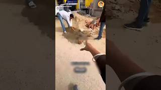 Satisfying Mud Cutting Video 🤯🔥 | Most Relaxing Clay ASMR #shorts #facts #factquest
