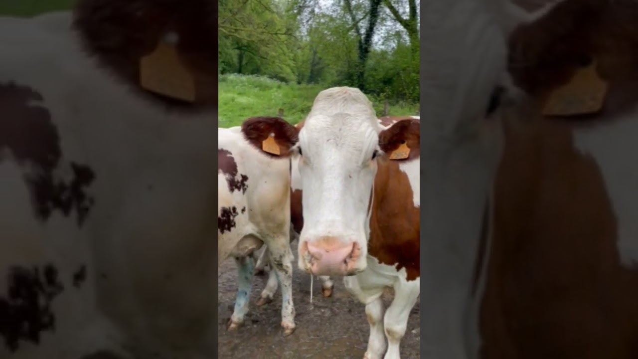 WARNING - Cave Diving is highly addictive 😆