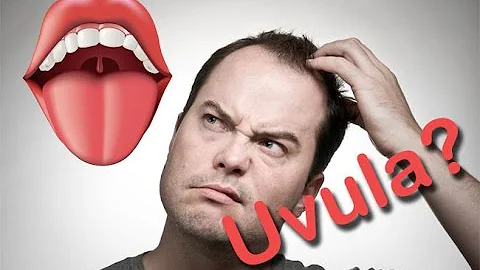 What does your Uvula do?