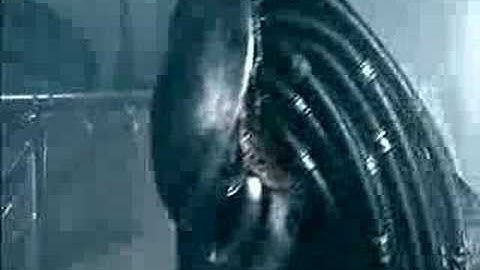 Alien Vs Predator (Shower)