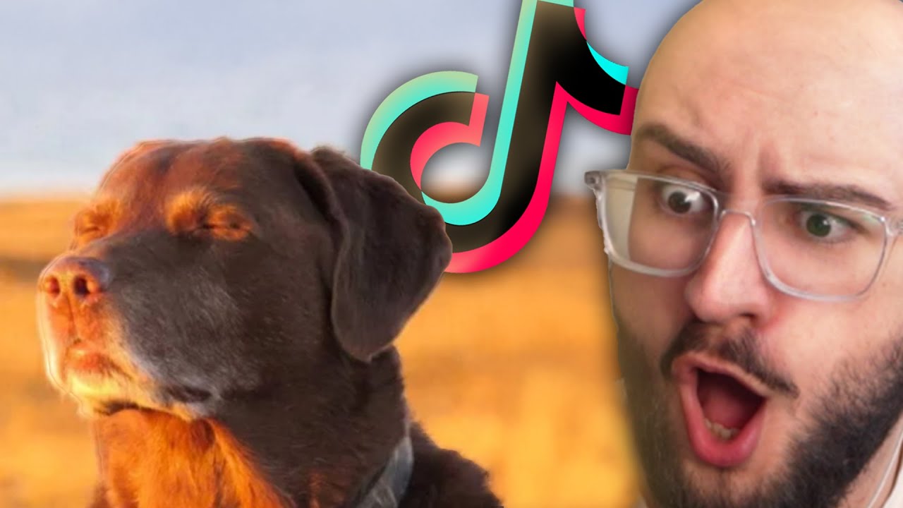 EURE TIKTOKS SIND..🥀🥀  GLEGGMIRE REAGIERT