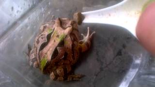 VID-20120108-00001.MP4