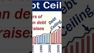US Debt Ceiling Crisis: Investors on Edge | Whats at Stake | Expert Analysis