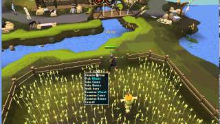 Runescape 3 Map Glitch