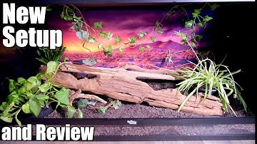 New Setup For A New Pet | Dubia.com Enclosure Review