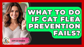 What To Do If Cat Flea Prevention Fails? - Happy Cat Handbook