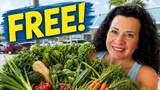 15 Grocery Items You Can Grow for Free! These Vegetables Save Us the Most Money