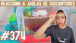 REACCIONO a JAULAS para HAMSTER de SUSCRIPTORES