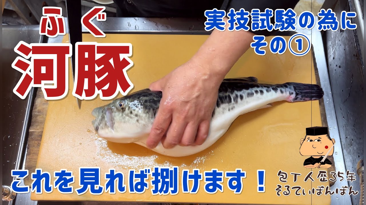 #154【ふぐの捌き方 】【実技試験の為にその①】【京都有次の筋引き包丁でさばく】 - YouTube