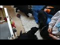 Kinder aus der Nachbarschaft zu Besuch