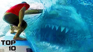 Top 10 Deep Sea Discoveries That CONFIRM The Megalodon Actually Existed