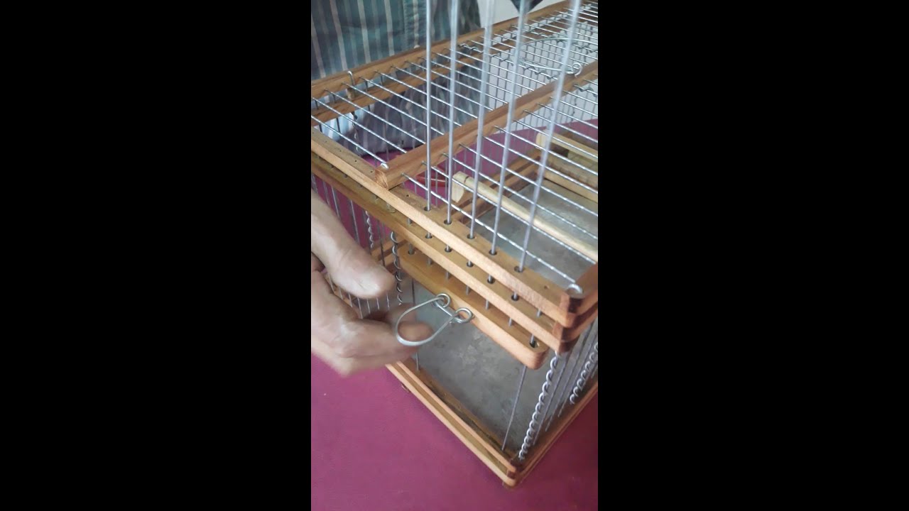Como hacer una jaula parte3
