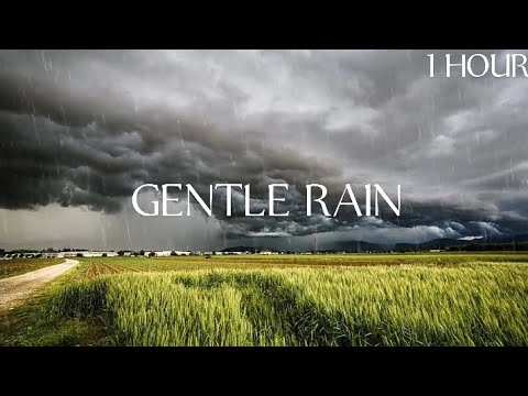 2 HOURS GENTLE RAIN SOUNDS FOR SLEEPING | SOOTHING AND RELAXING SOUNDS ...