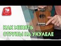 Как Менять Струны на Укулеле