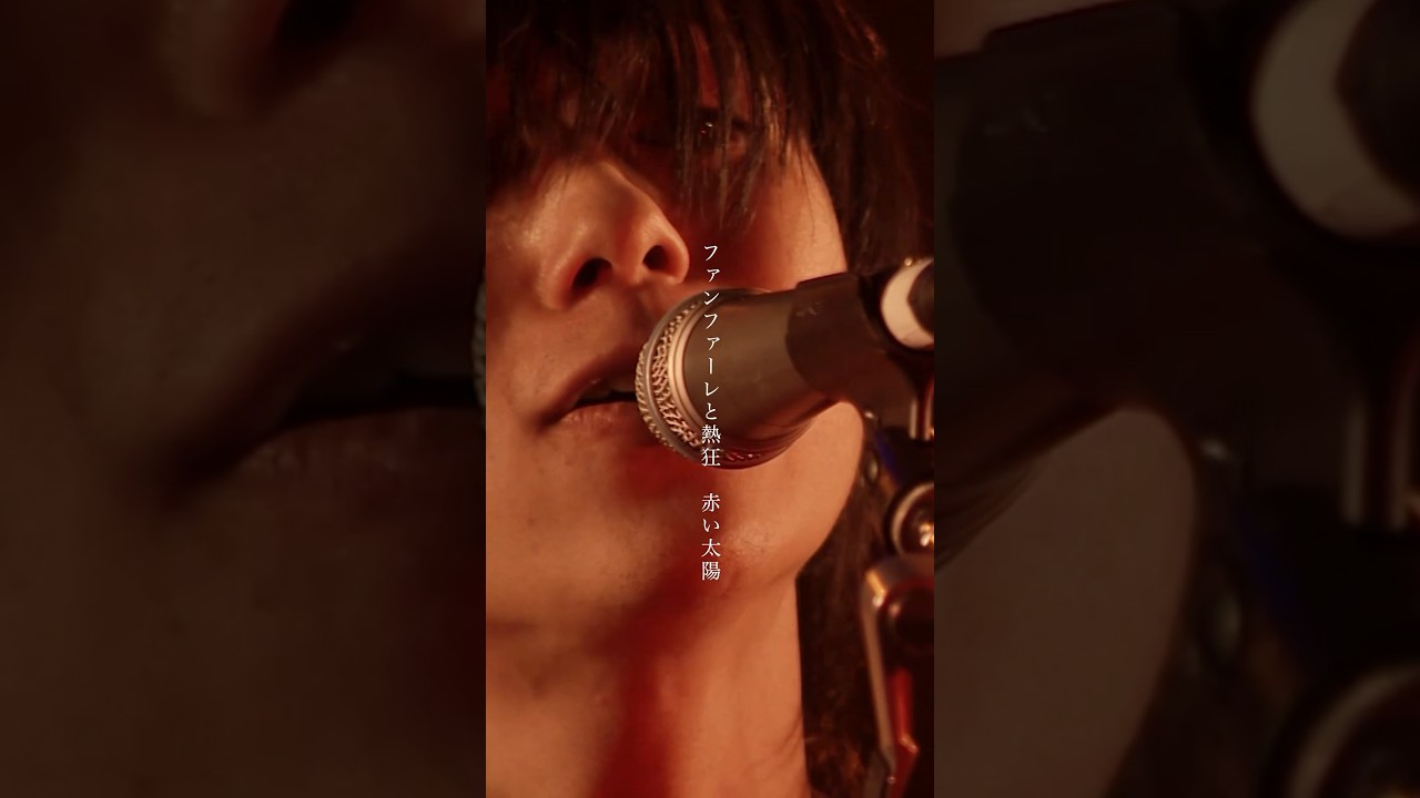 Friday Flyday andymori前身バンドbgms bgms(andymoriの前身バンド)参加音源 【公式通販】