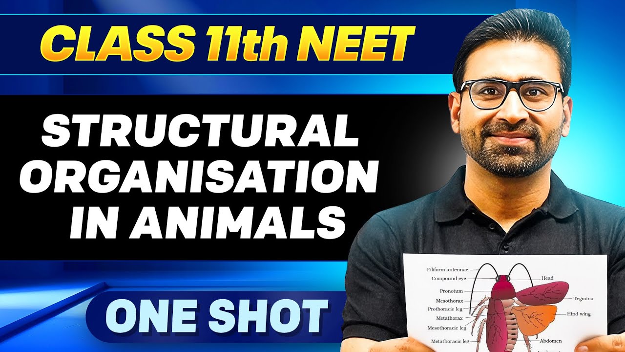 STRUCTURAL ORGANISATION IN ANIMALS in ONE SHOT || All Concepts, Tricks ...