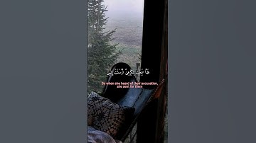 وَقُلْنَ حَاشَ لِلَّهِ مَا هَٰذَا بَشَرًا || سورة يوسف// أحمد خضر